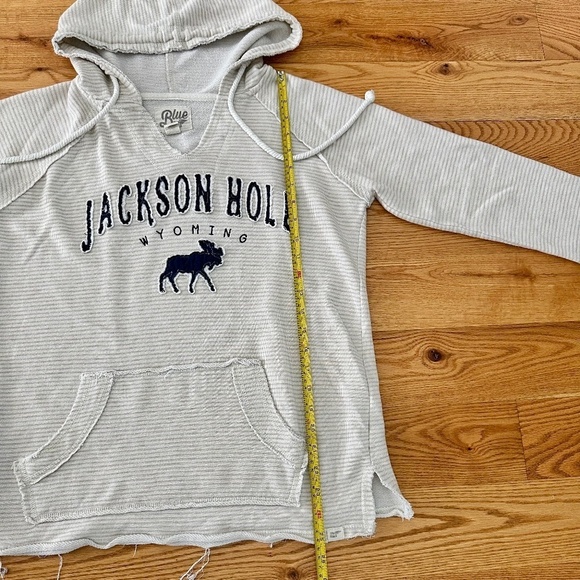 Blue 84 Beige & Tan Striped Jackson Hole French Terry Hoodie, Size Small - Picture 6 of 7